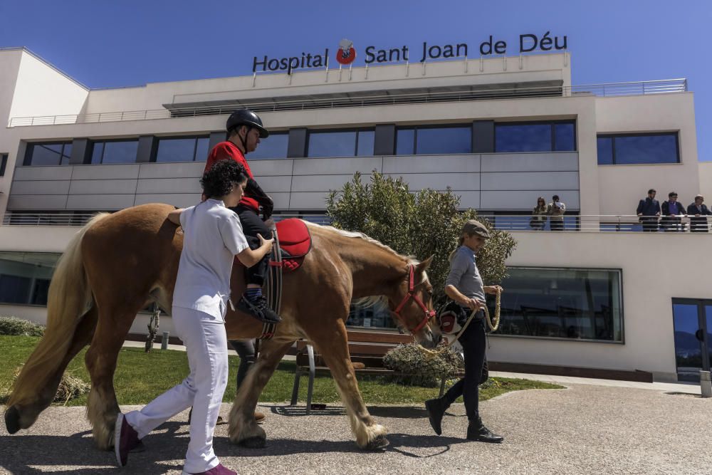 Hipoterapia en Sant Joan de Déu