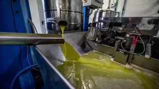 El aceite de oliva es ya un 23% más barato en origen y el consumidor ha empezado a notarlo