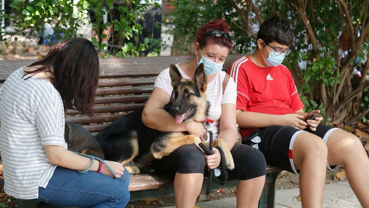 València, candidata a mejor ciudad para viajar con las mascota