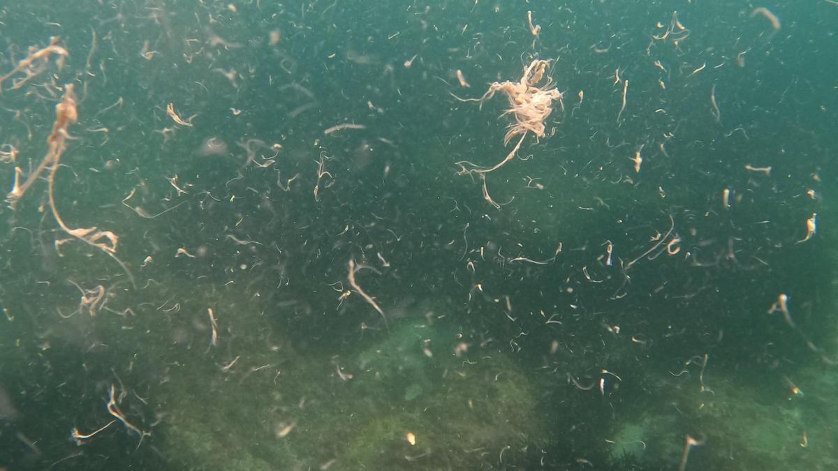 Estado del agua en la zona este martes.