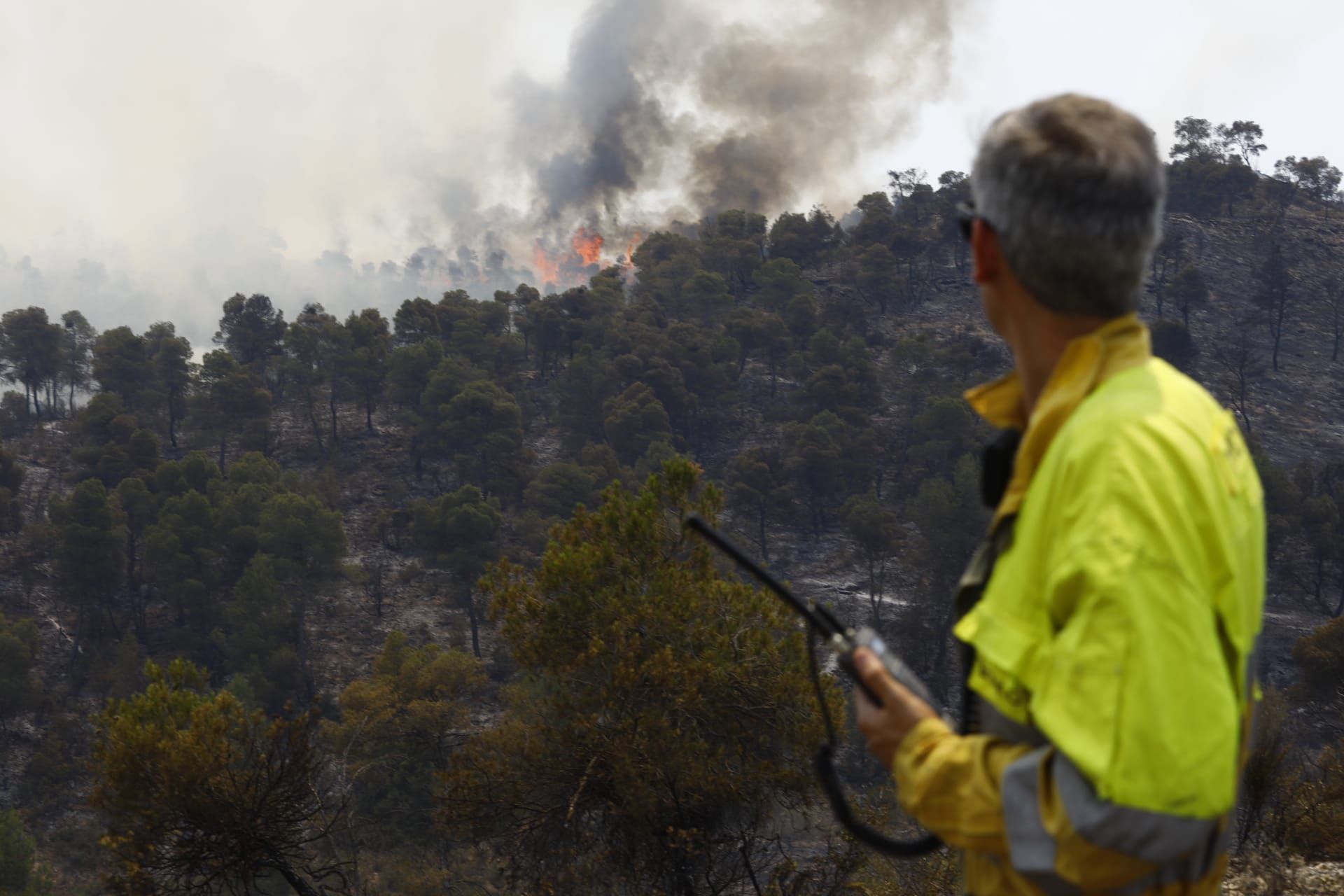 FOTOGALERÍA | El incendio forestal en Nonaspe, en imágenes