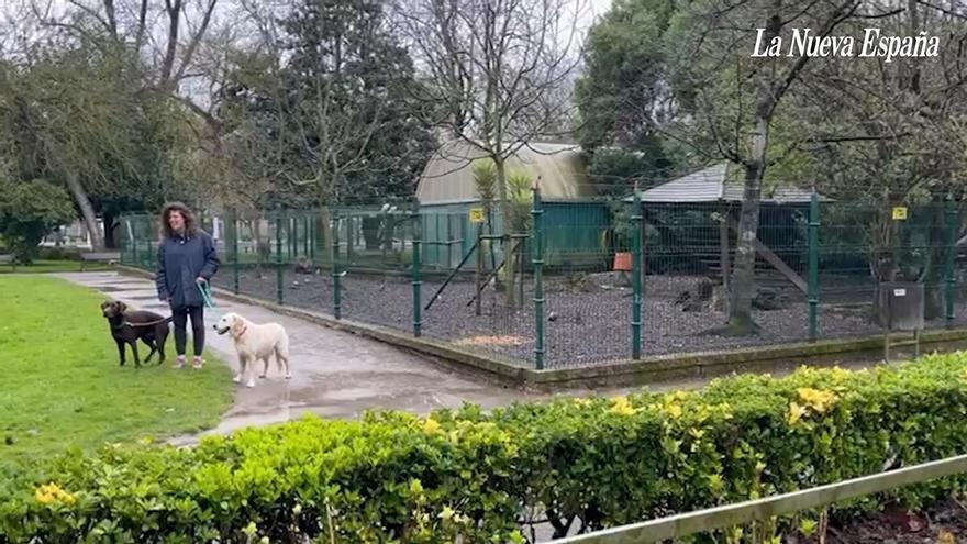 VÍDEO: Los visitantes celebran las mejoras previstas en el parque Isabel la Católica de Gijón
