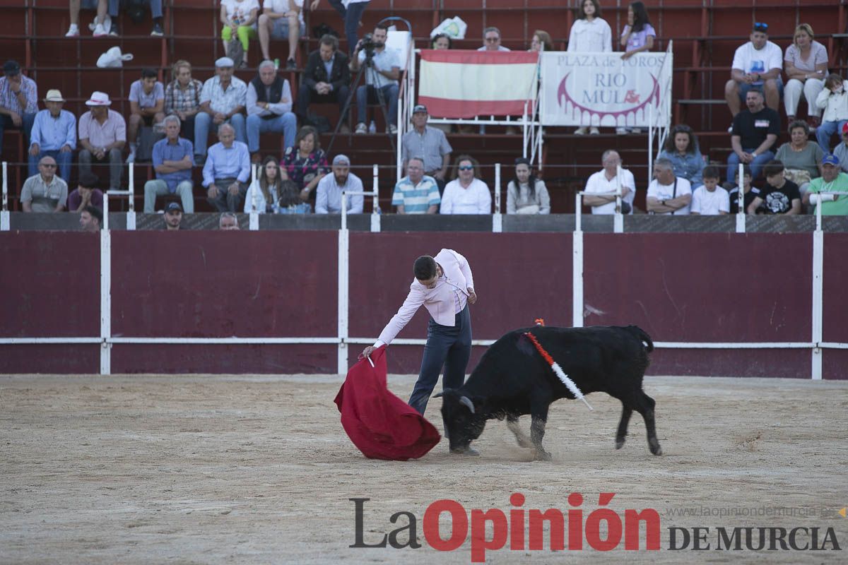 Festival taurino ‘La flor del almendro’ en Mula