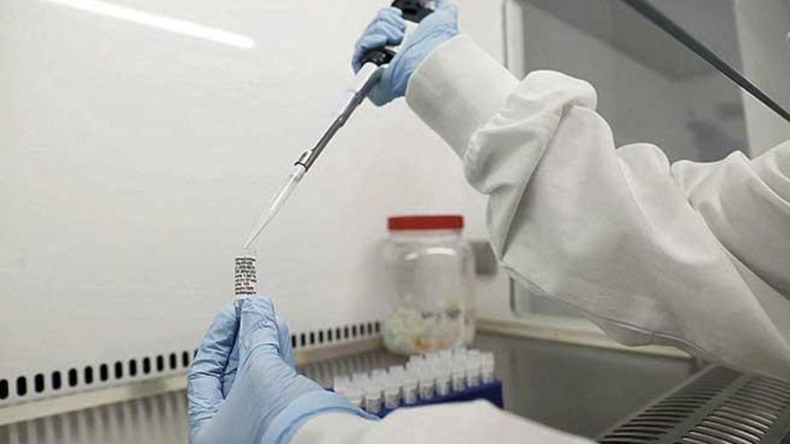 Laboratorios de todo el mundo se han embarcado en una carrera para tener la vacuna.