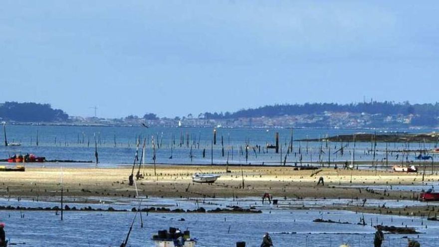 Más de 600 familias viven de los parques de cultivo de Carril. // I. Abella