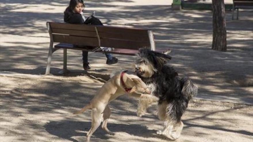 Multados por el ADN cuatro dueños de perros por dejar los excrementos en la calle