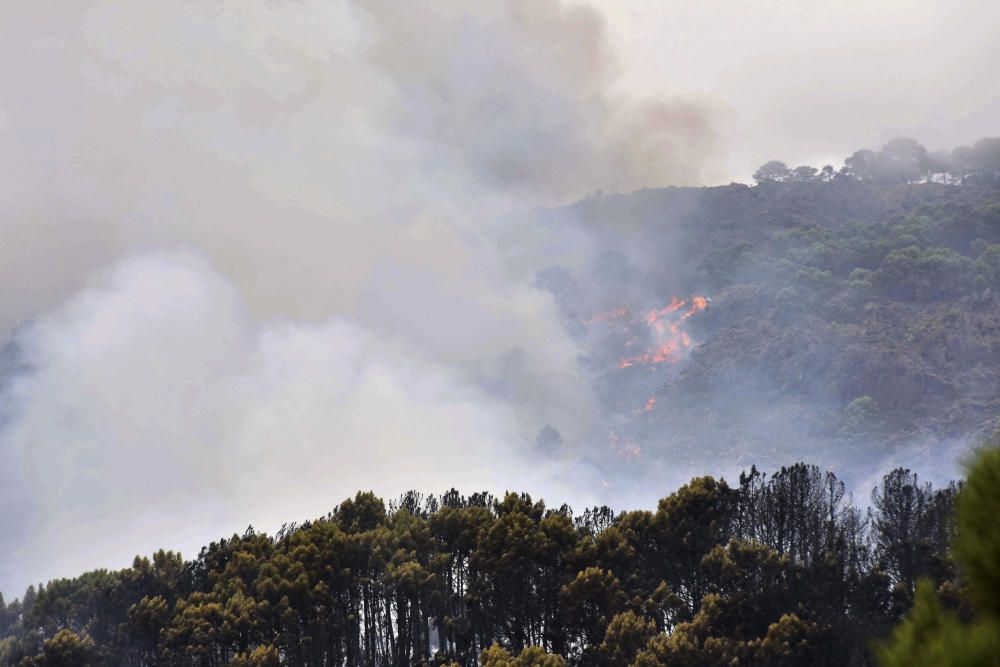 INCENDIO FORESTAL EN LOS MONTES DE BENAHAVÍS ...