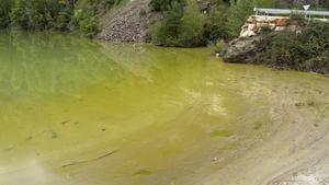 El pantano de la Torrassa, teñido de verde por las cianobacterias.