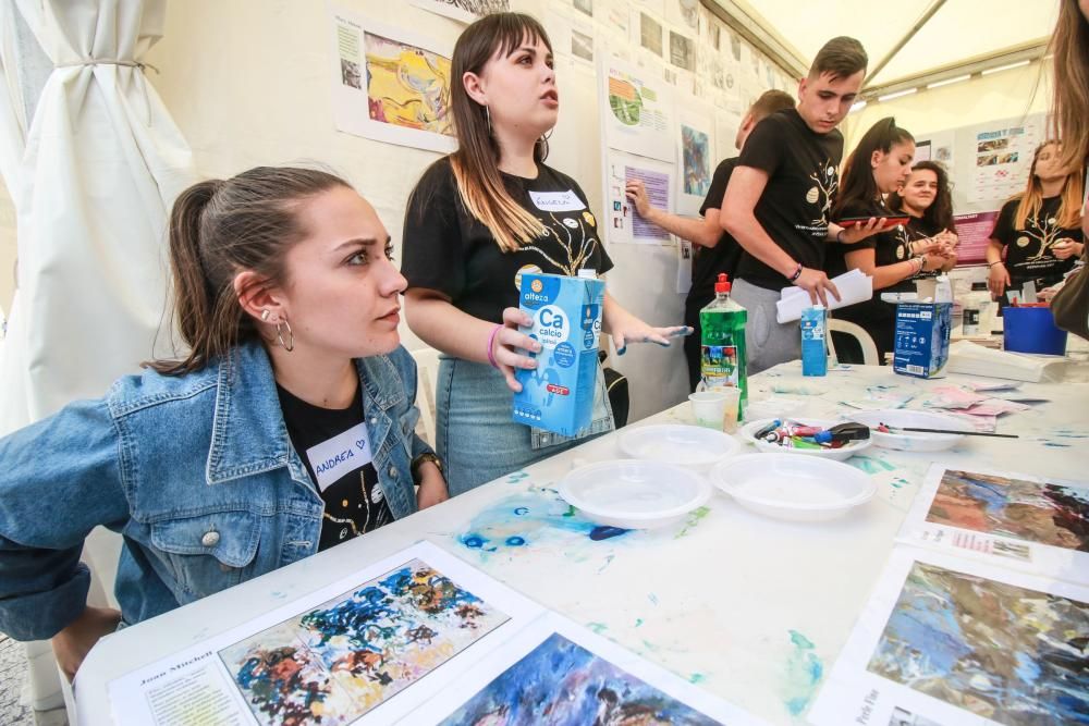 VIII Certamen de Ciencias de la Vega Baja