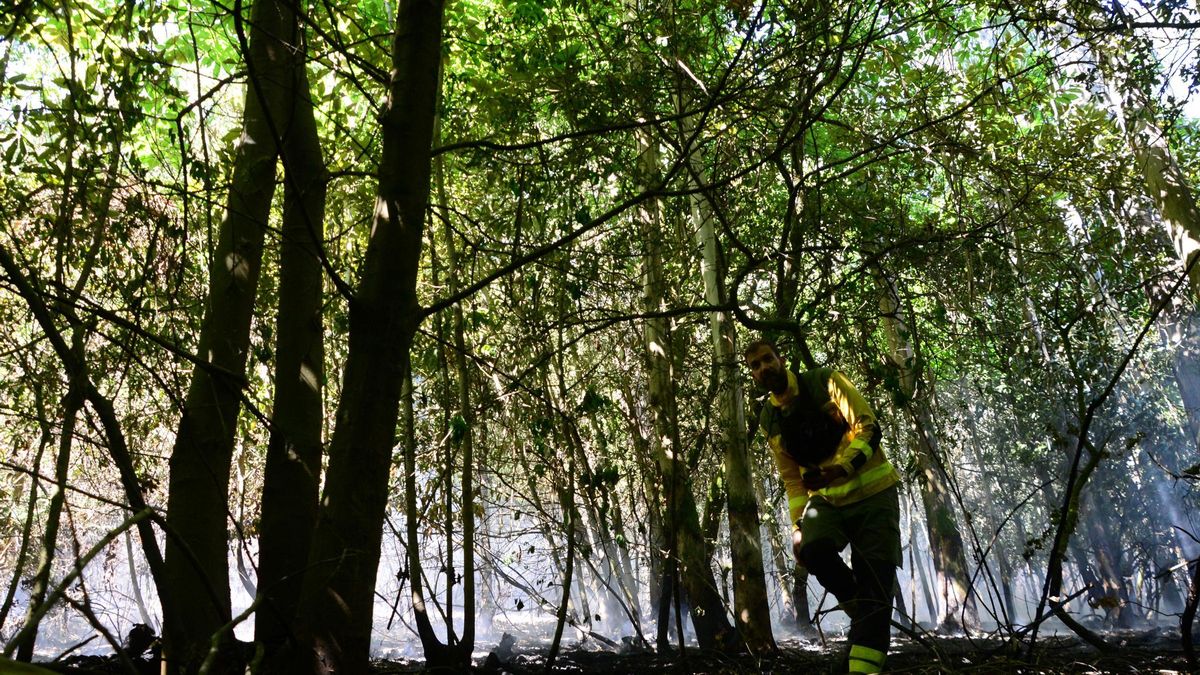 Integrantes de las brigadas de Medio Rural ayer por la mañana en la zona del incendio en Ermelo.