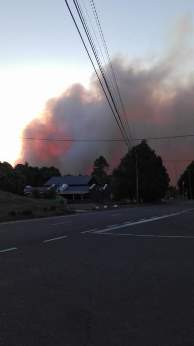 Incendio forestal en Garafía (La Palma)