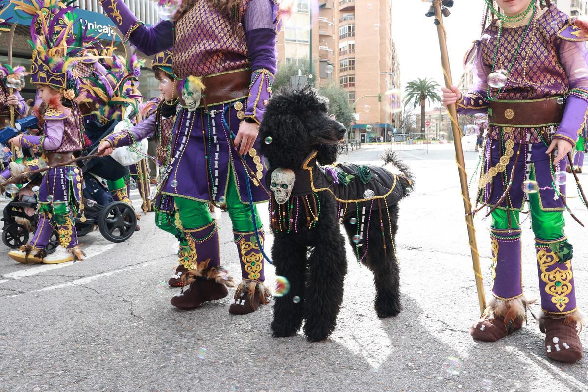 Fotogalería | El Carnaval Infantil de Cáceres pasea por Cánovas