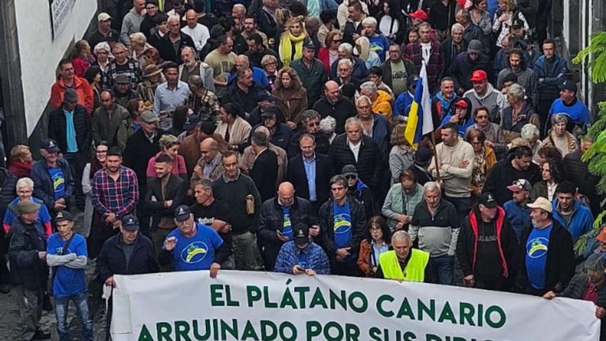 Los agricultores de La Palma toman la calle por una renta digna y no vender a pérdida