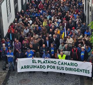 Los agricultores de La Palma toman la calle por una renta digna y no vender a pérdida