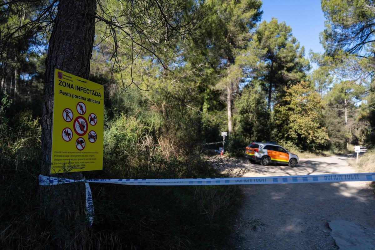 Efectivos de la UME y agentes rurales se reúnen en la zona declarada en cuarentena por la Peste Porcina Africana en Torreferrussa, antes de iniciar las tareas previstas.