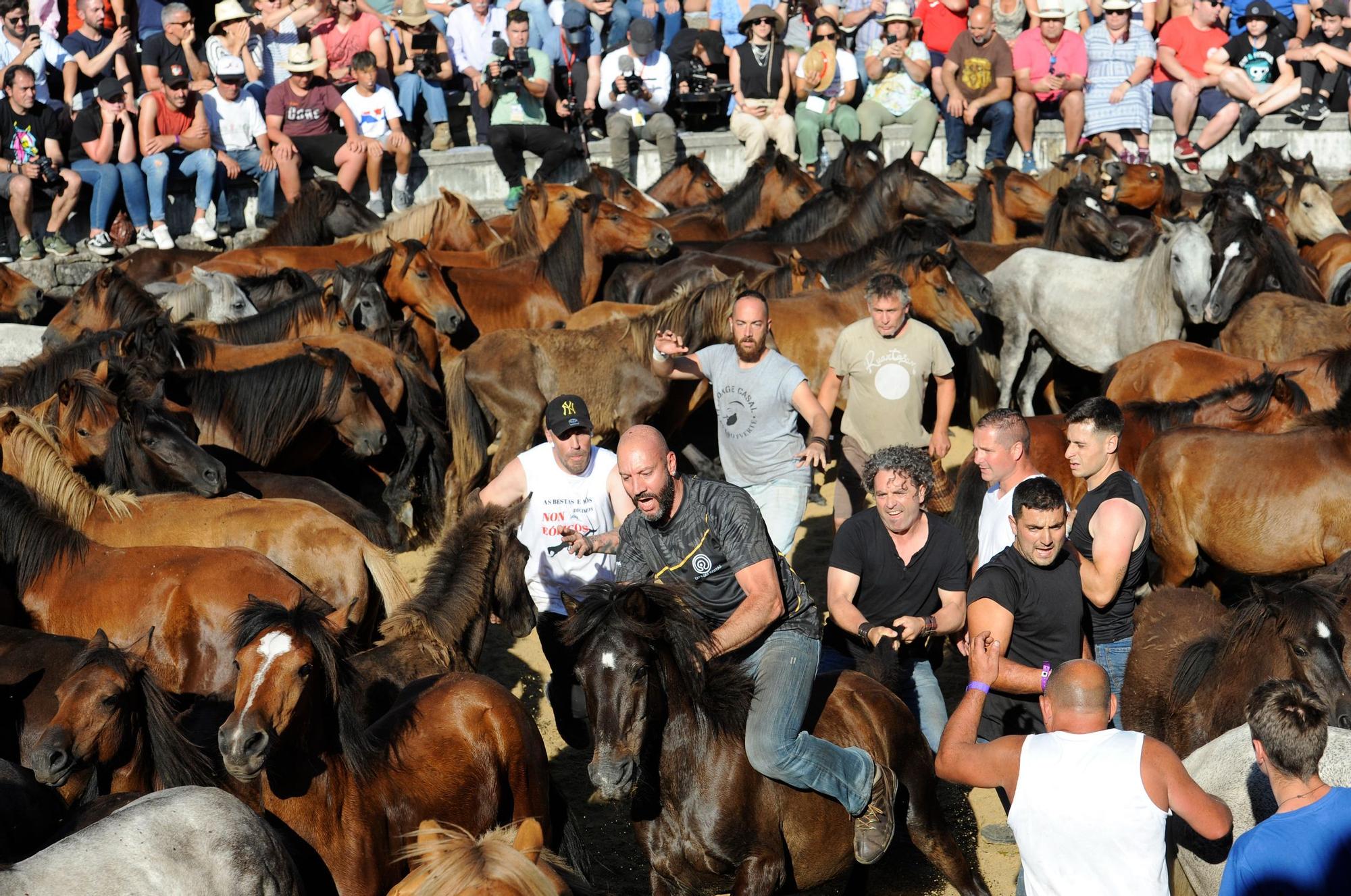 Una multitudinaria Rapa sin restricciones: 1.800 personas abarrotan Sabucedo