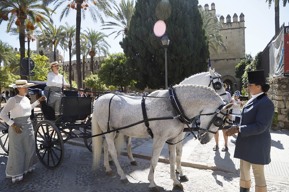 Concurso de atalaje de Córdoba en Cabalcor