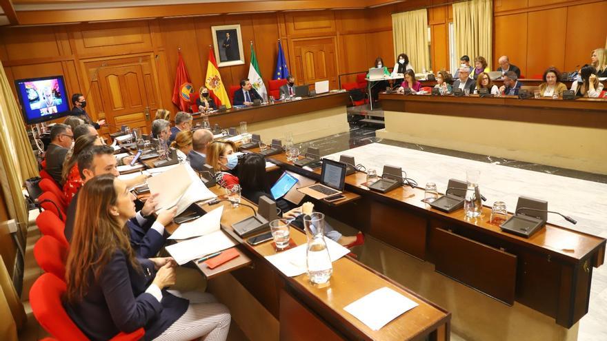 Los grupos municipales de Córdoba tienen que devolver 105.000 euros de facturas, la mayoría del PSOE