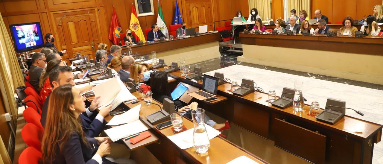 Imagen del Pleno de Córdoba desde la bancada de la derecha.