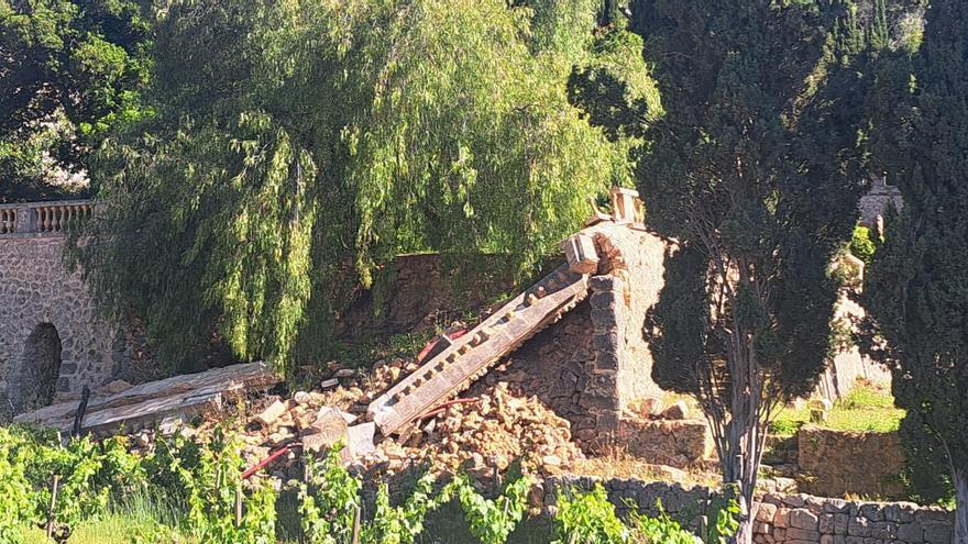 Denuncian el deterioro que afecta a los jardines de Raixa por «dejadez»