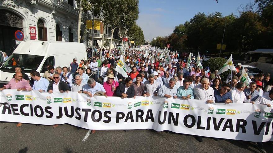 Córdoba es la segunda provincia española que importa más aceite