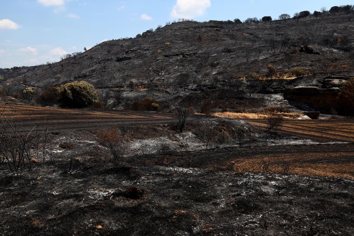 Superficie quemada en las Cinco Villas en el incendio declarado la semana pasada.