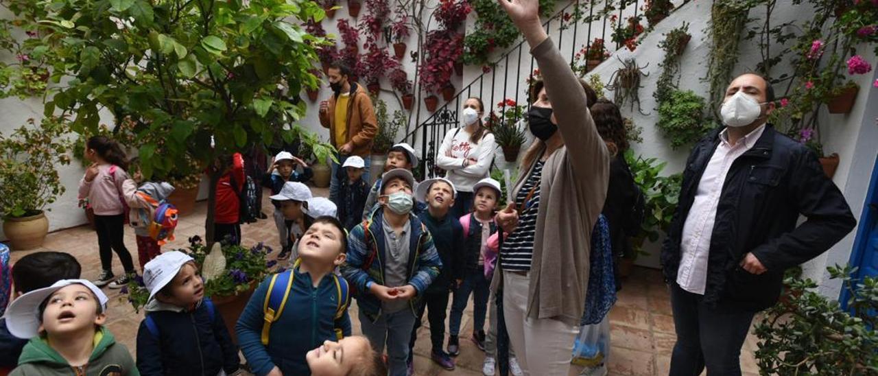 Un grupo de niños atiende a la explicación sobre lo que es un patio de Córdoba, dentro del programa del Ayuntamiento.