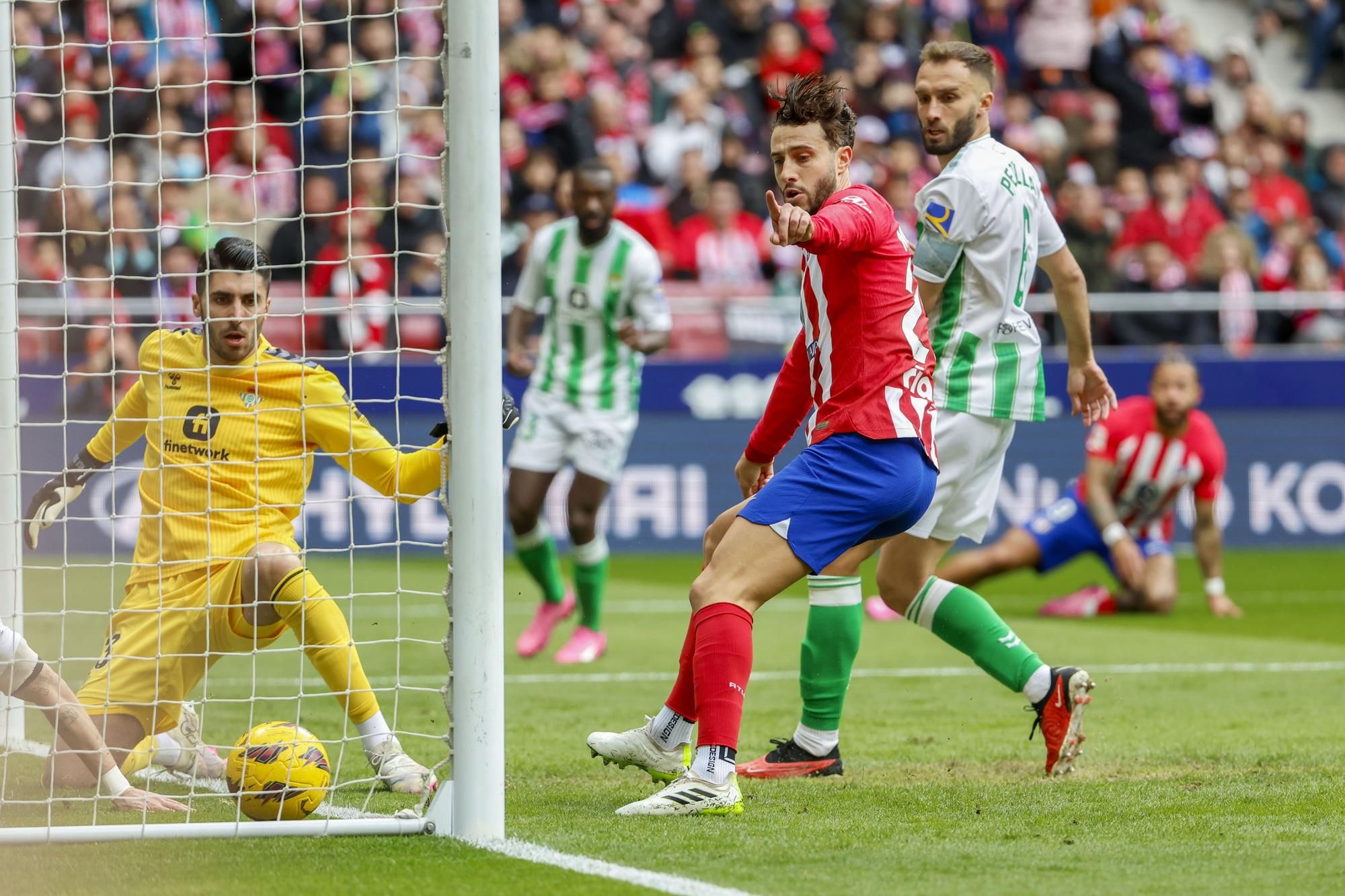 Las imágenes del Atlético de Madrid  - Betis