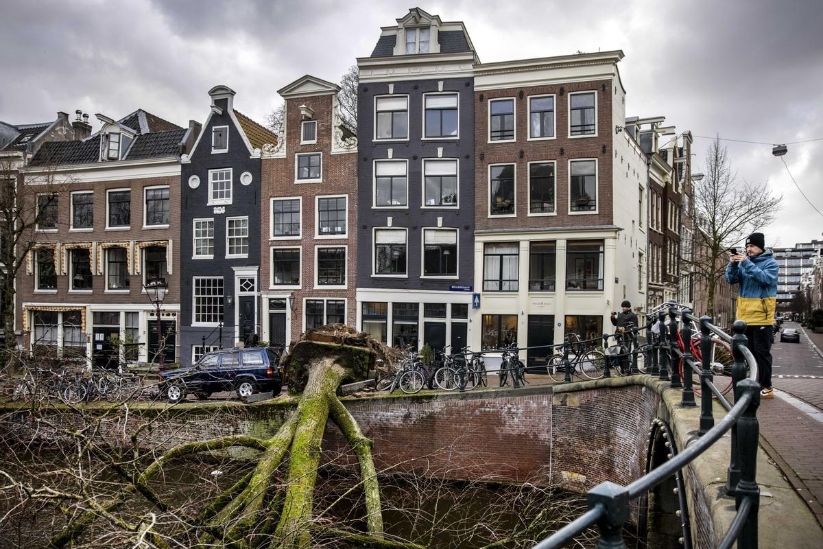 Un árbol derribado por las fuertes rachas de viento durante la tormenta Eunice en Ámsterdam