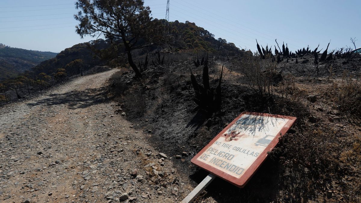 El incendio  Málaga, en imágenes