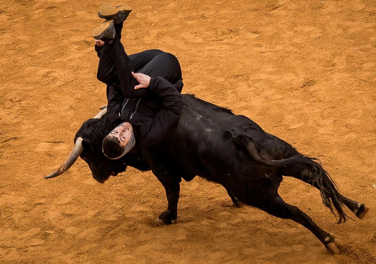 Carnaval del Toro en Ciudad Rodrigo (Salamanca)