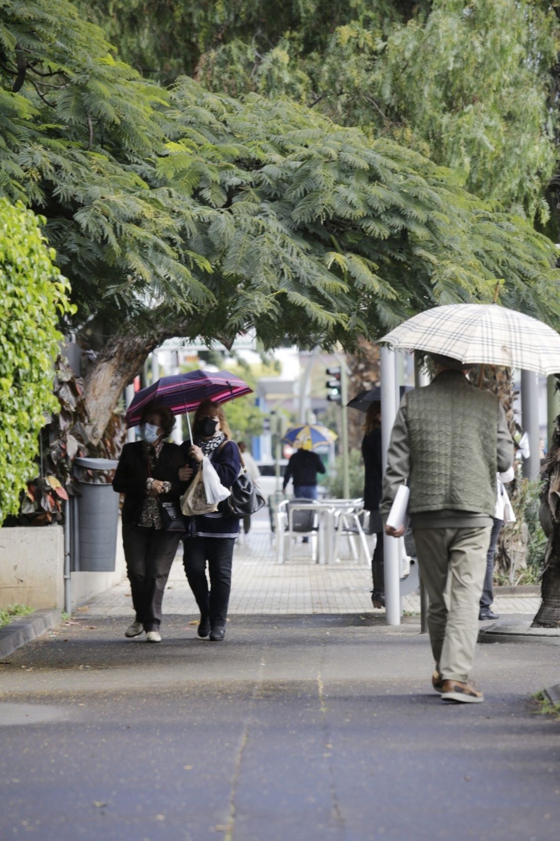 Alerta amarilla en Tenerife