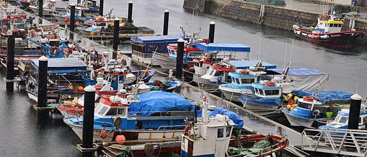 Una imagen de la flota amarrada en el puerto de Bueu. | // G.NÚÑEZ