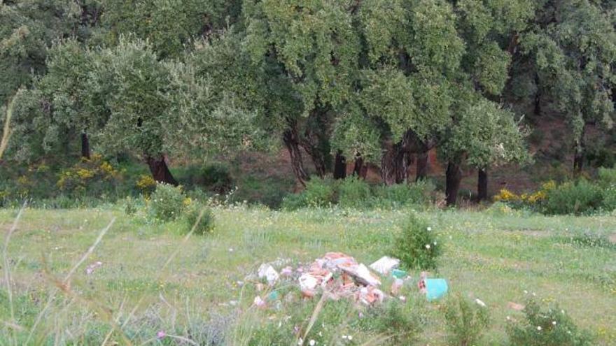 El urbanismo desaforado acabó con buena parte de las áreas verdes en Marbella. P. S.