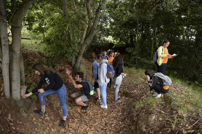 ALUMNOS IES PEREZ GALDOS EN OSORIO