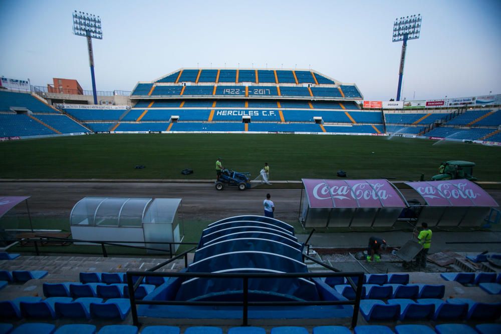 7 años después de la última reposición, el estadio cuenta con un césped de la máxima categoría