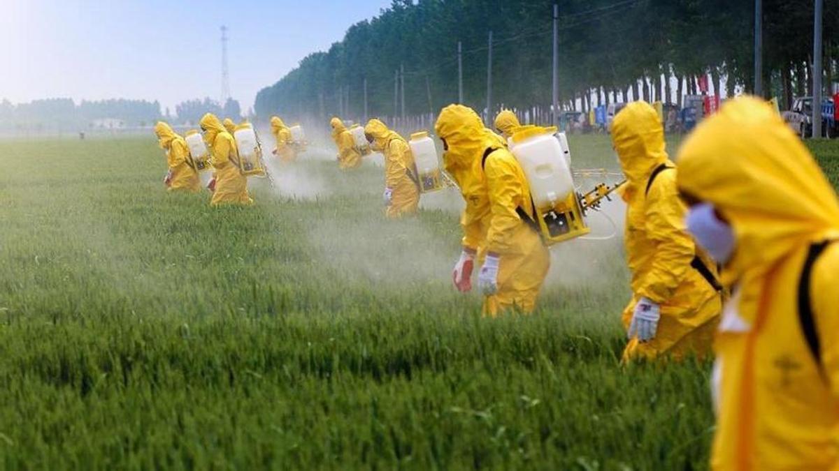 El glifosato es el herbicida más usado en el planeta.