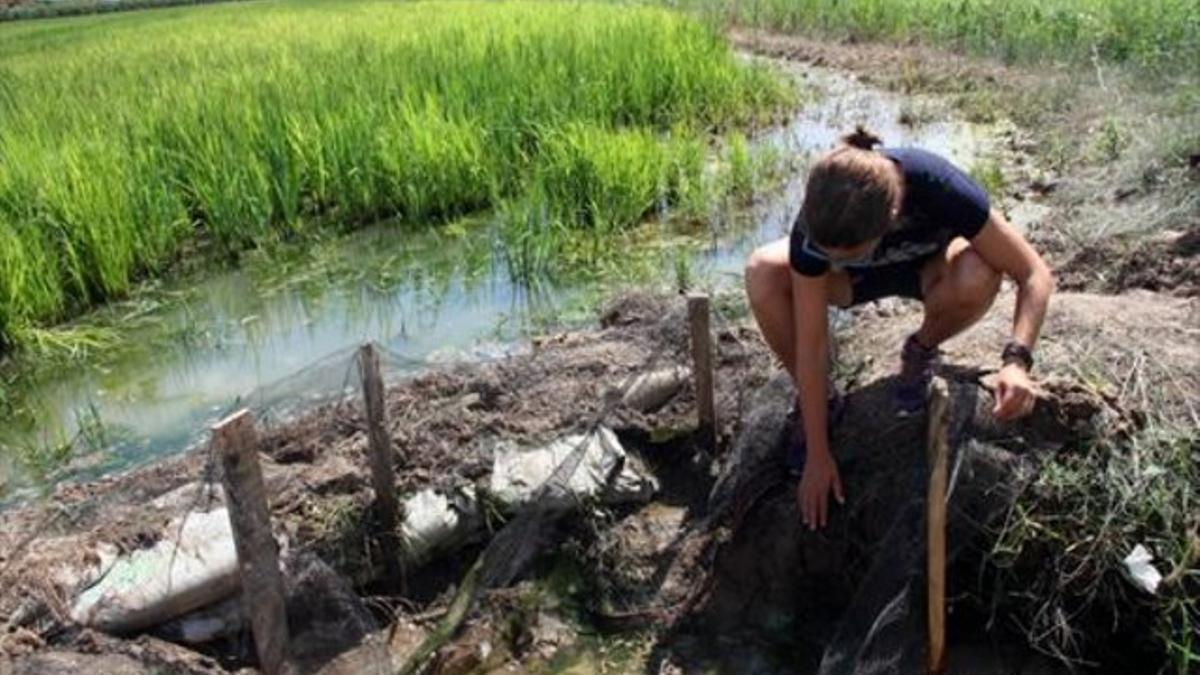 Una técnica del departamento de Agricultura inspecciona un canal de la finca afectada.