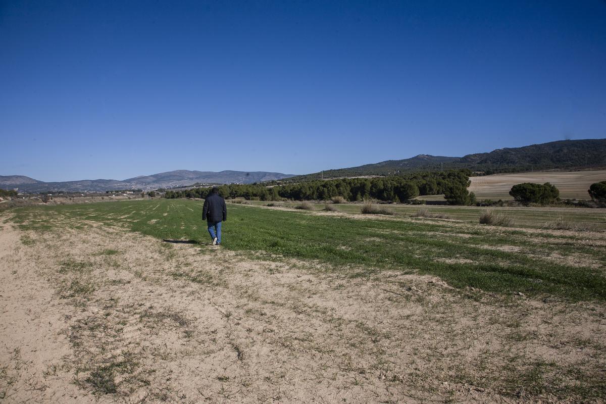 Parte de los terrenos donde se ha planteado la macroplanta fotovoltaica en el término municipal de Castalla.