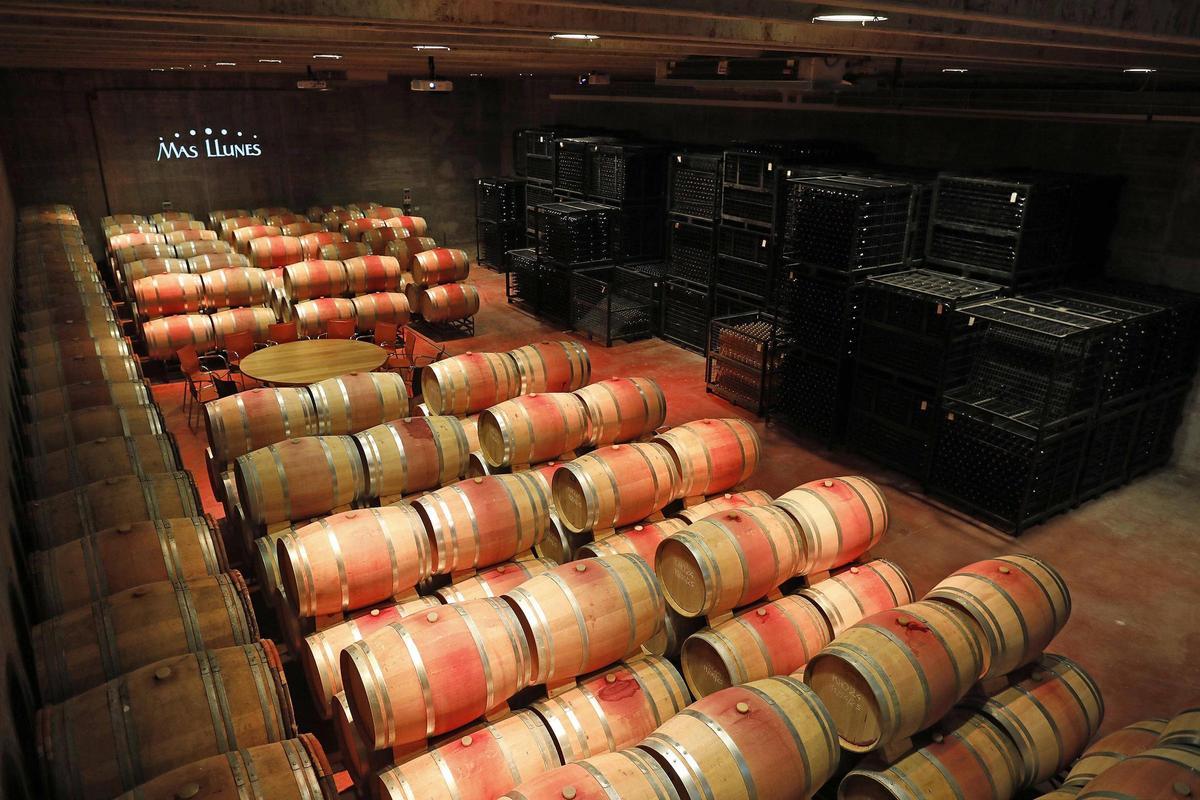 Sala de botes del celler on es duu a terme el tast sensorial.