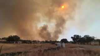 Arroyo y Aliseda, los incendios que más preocupan: "Necesitamos la ayuda del gobierno"
