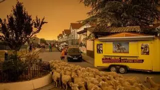 El 'retén' de Santa Cilia, listo para servir: "Ese fuego es el infierno que viene hacia nuestro pueblo"
