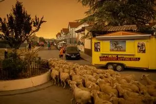 En imágenes | Los vecinos de Santa Cilia hacen frente al incendio de La Peña