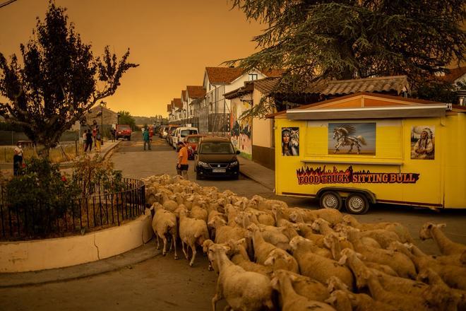 En imágenes | Los vecinos de Santa Cilia hacen frente al incendio de La Peña