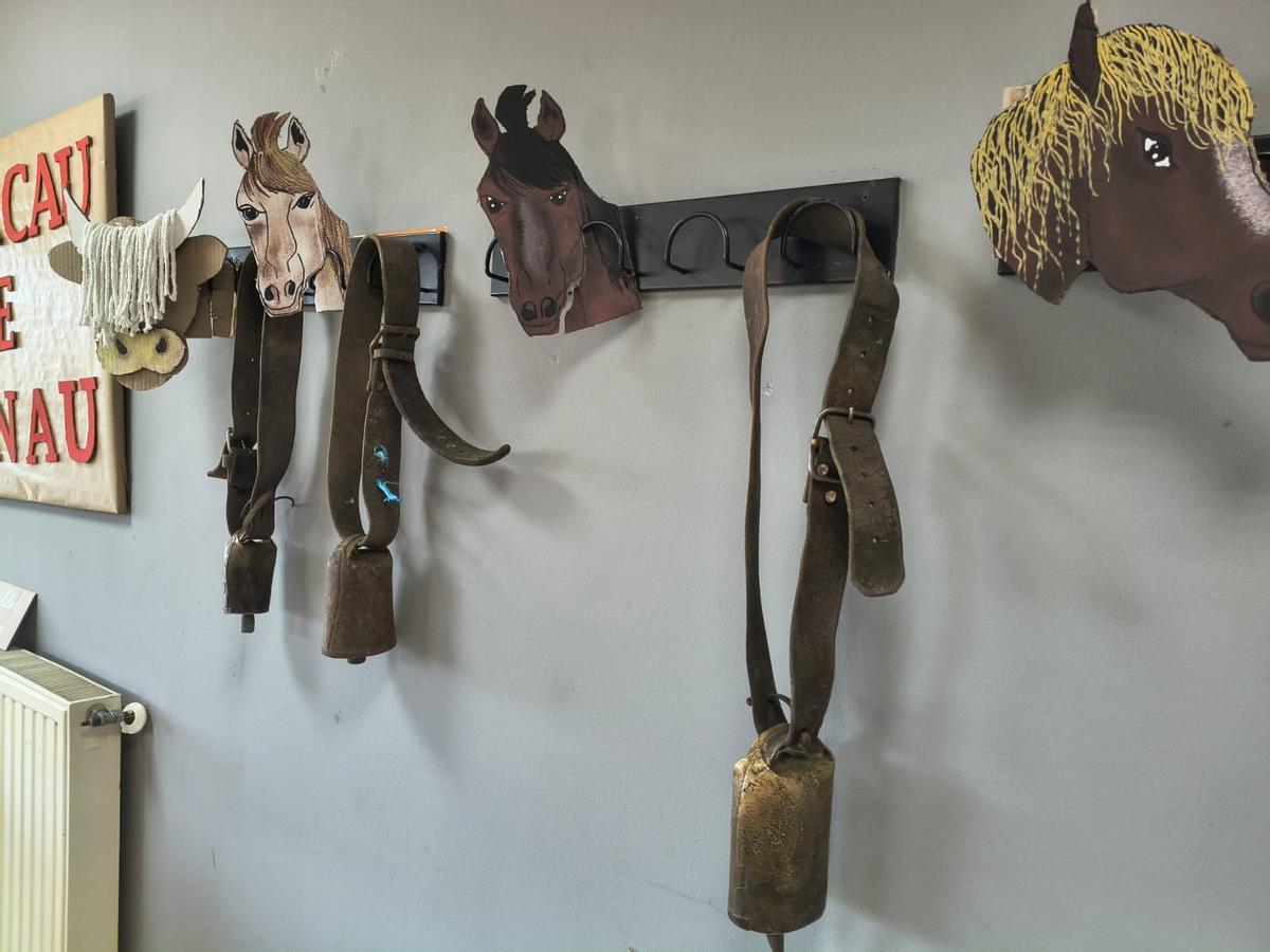 El Antroxu del Centro de día de Grado, en imágenes