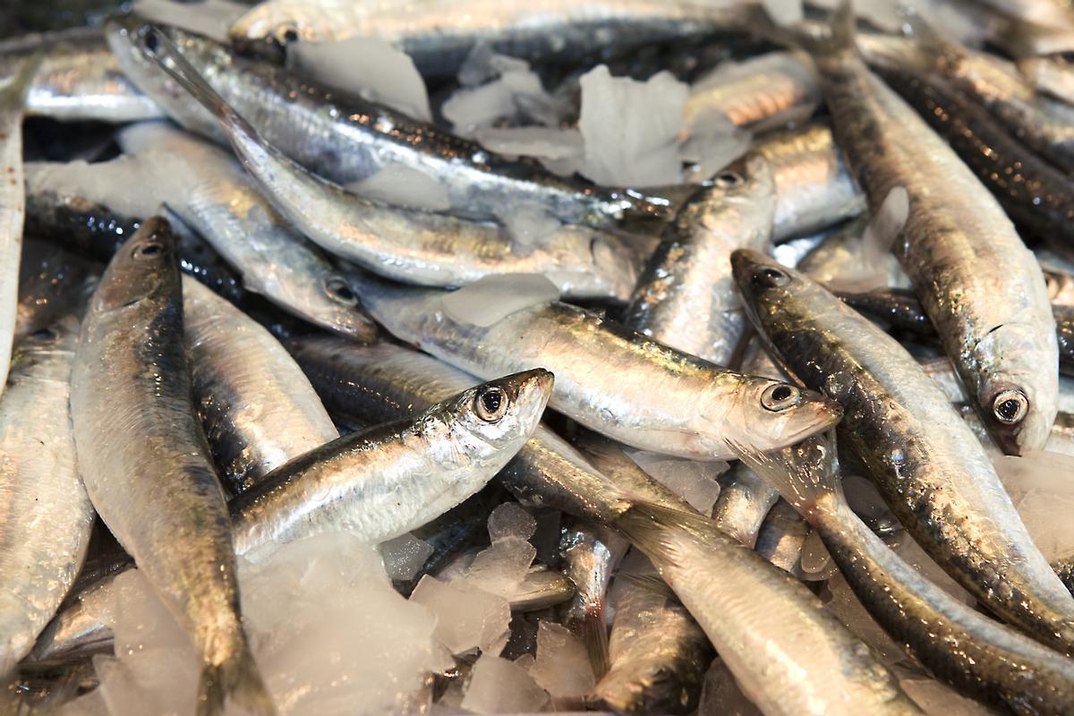 Sardinas en un mercado.