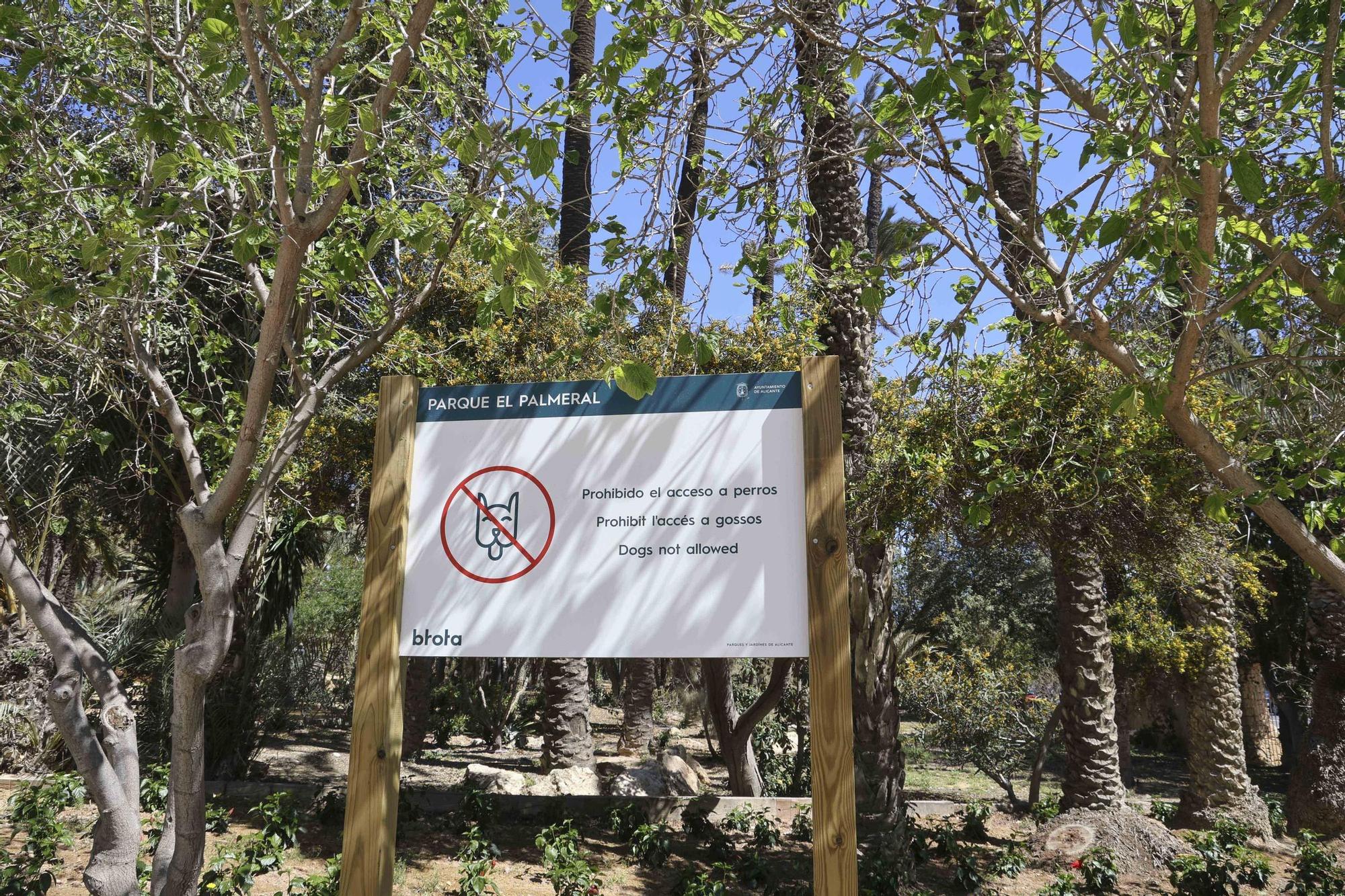 El Palmeral reabre sus puertas después de su renovación