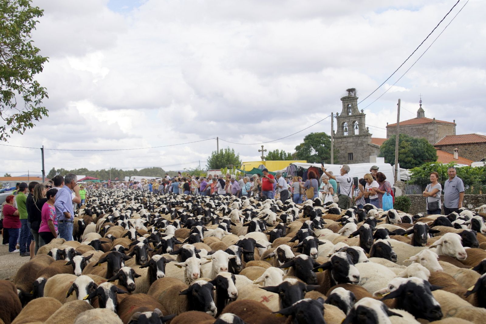 San Vitero y la exaltación del pastor