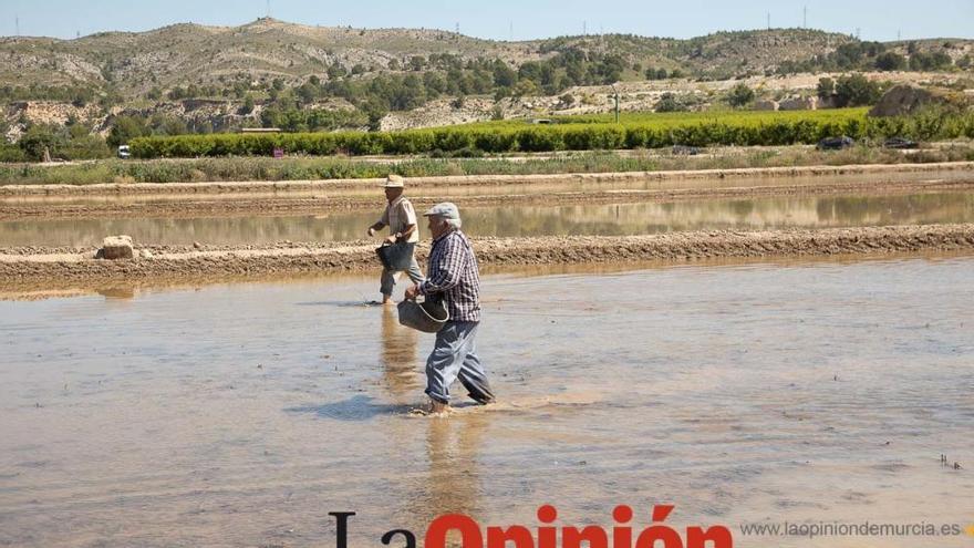 El arroz de Calasparra se promociona en la cumbre de la OTAN