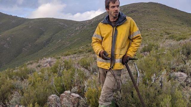 «Los monocultivos de pino fueron un factor principal para un incendio de tal magnitud»